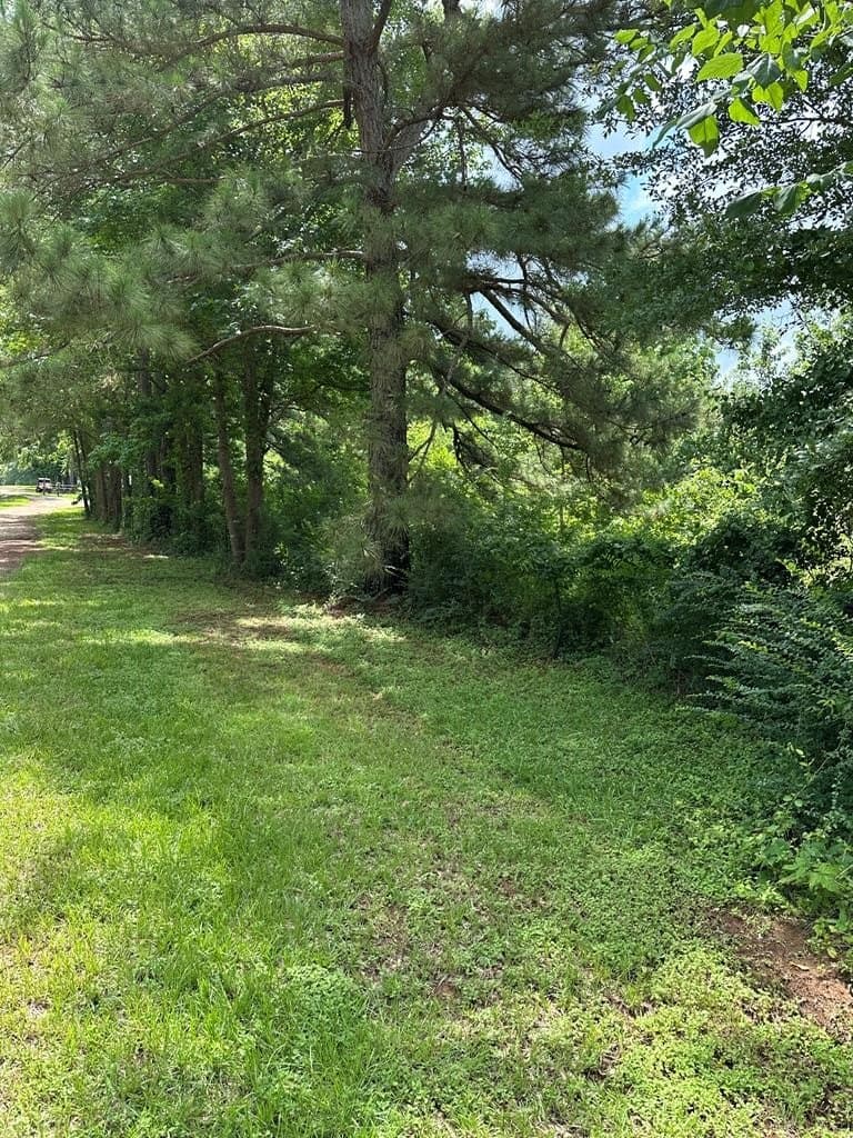 11.73 acres in Texas County gallery image 4