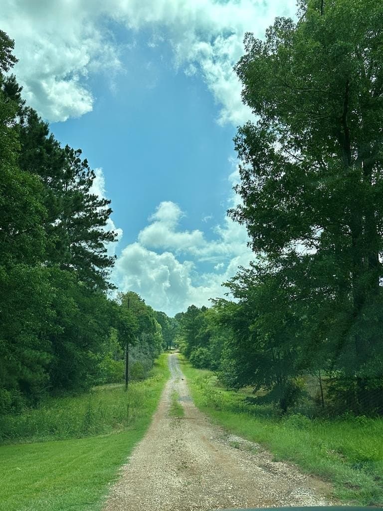 11.73 acres in Texas County gallery image 2