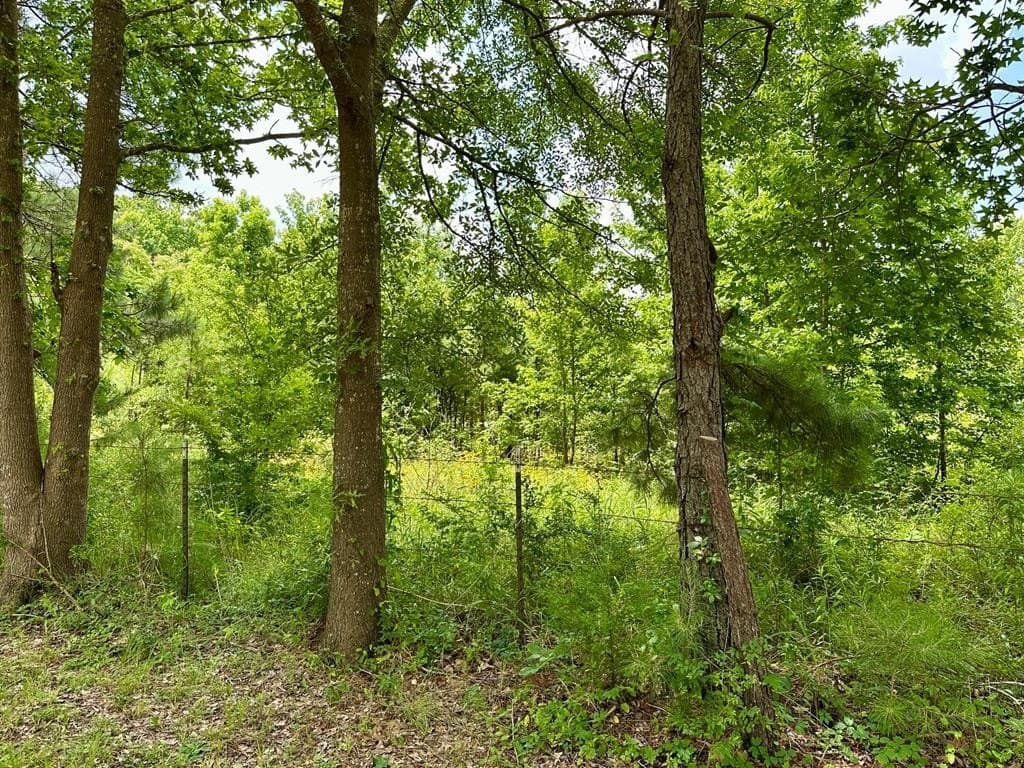 11.73 acres in Texas County featured view