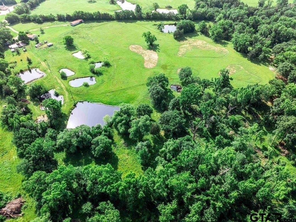 49.25 acres in Hopkins County - photo 10