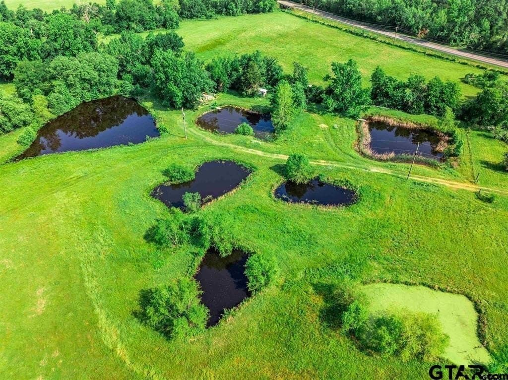49.25 acres in Hopkins County - photo 6