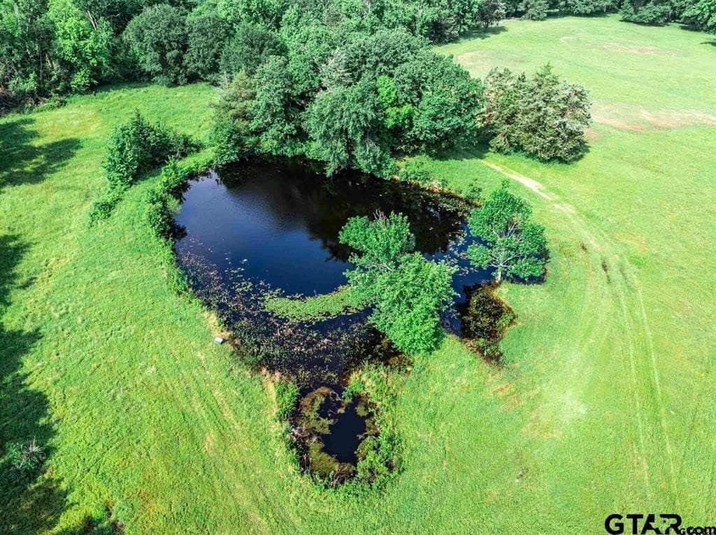 49.25 acres in Hopkins County - photo 28