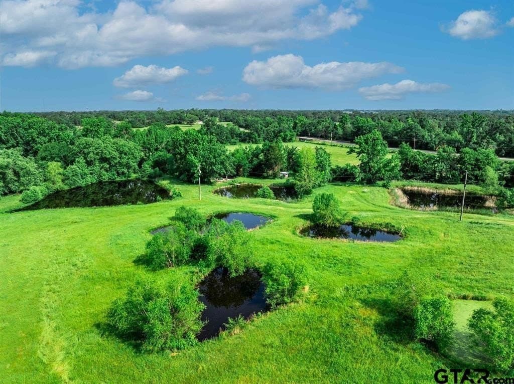 49.25 acres in Hopkins County - photo 9