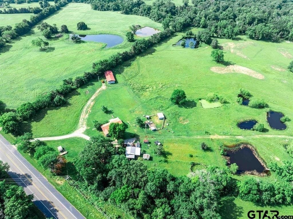49.25 acres in Hopkins County gallery image 4