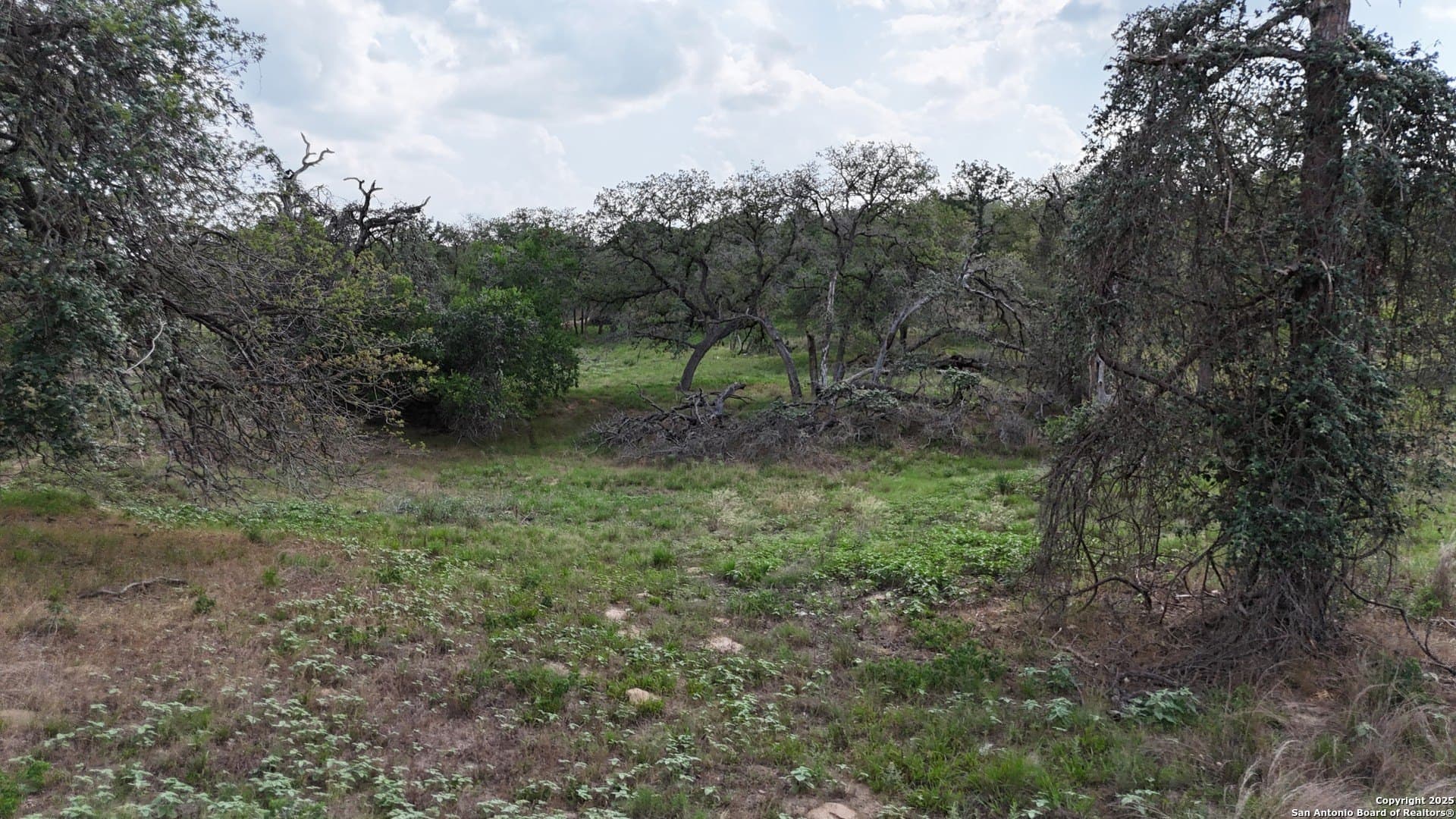 2.97 acres in Wilson County - photo 12