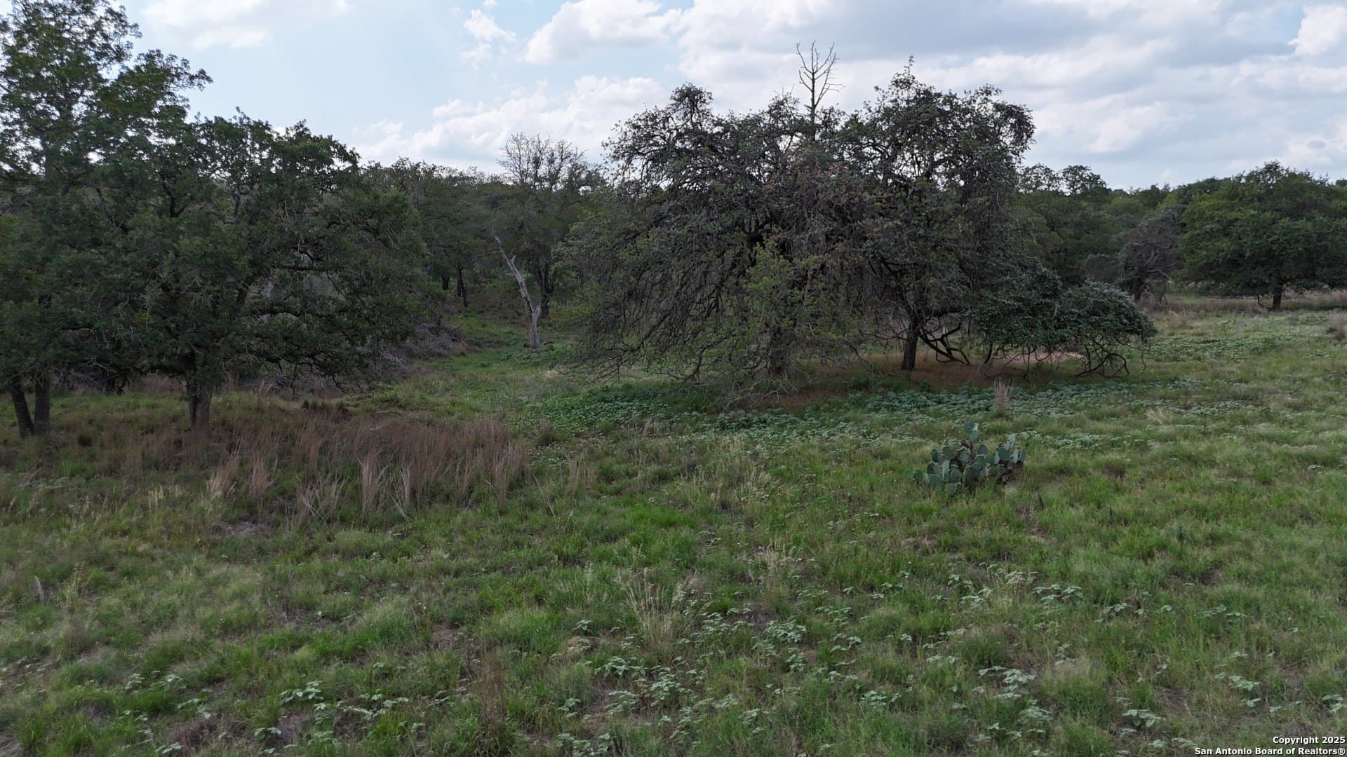 2.97 acres in Wilson County - photo 6