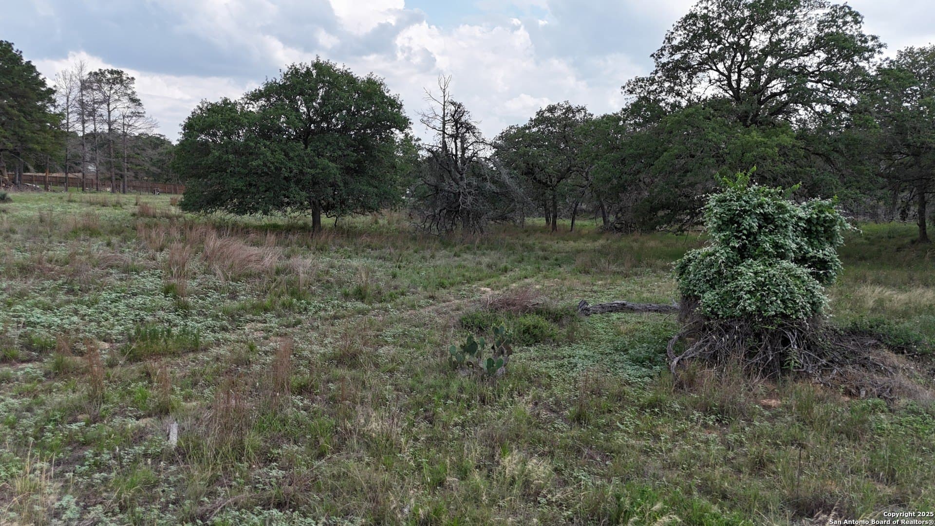 2.97 acres in Wilson County - photo 8