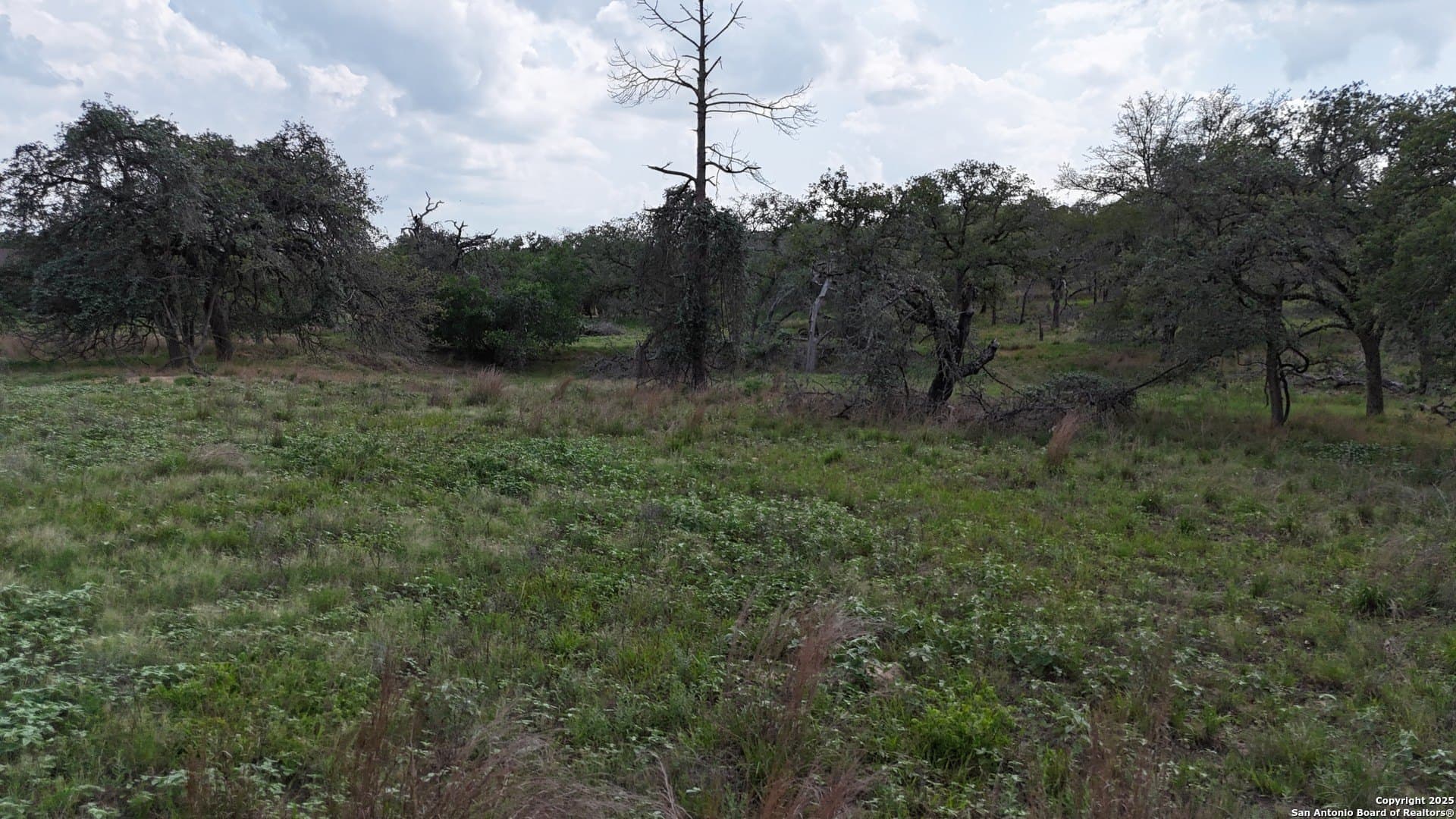 2.97 acres in Wilson County featured view