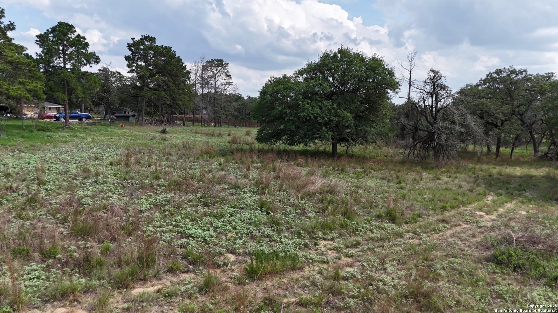 2.97 acres in Wilson County gallery image 2