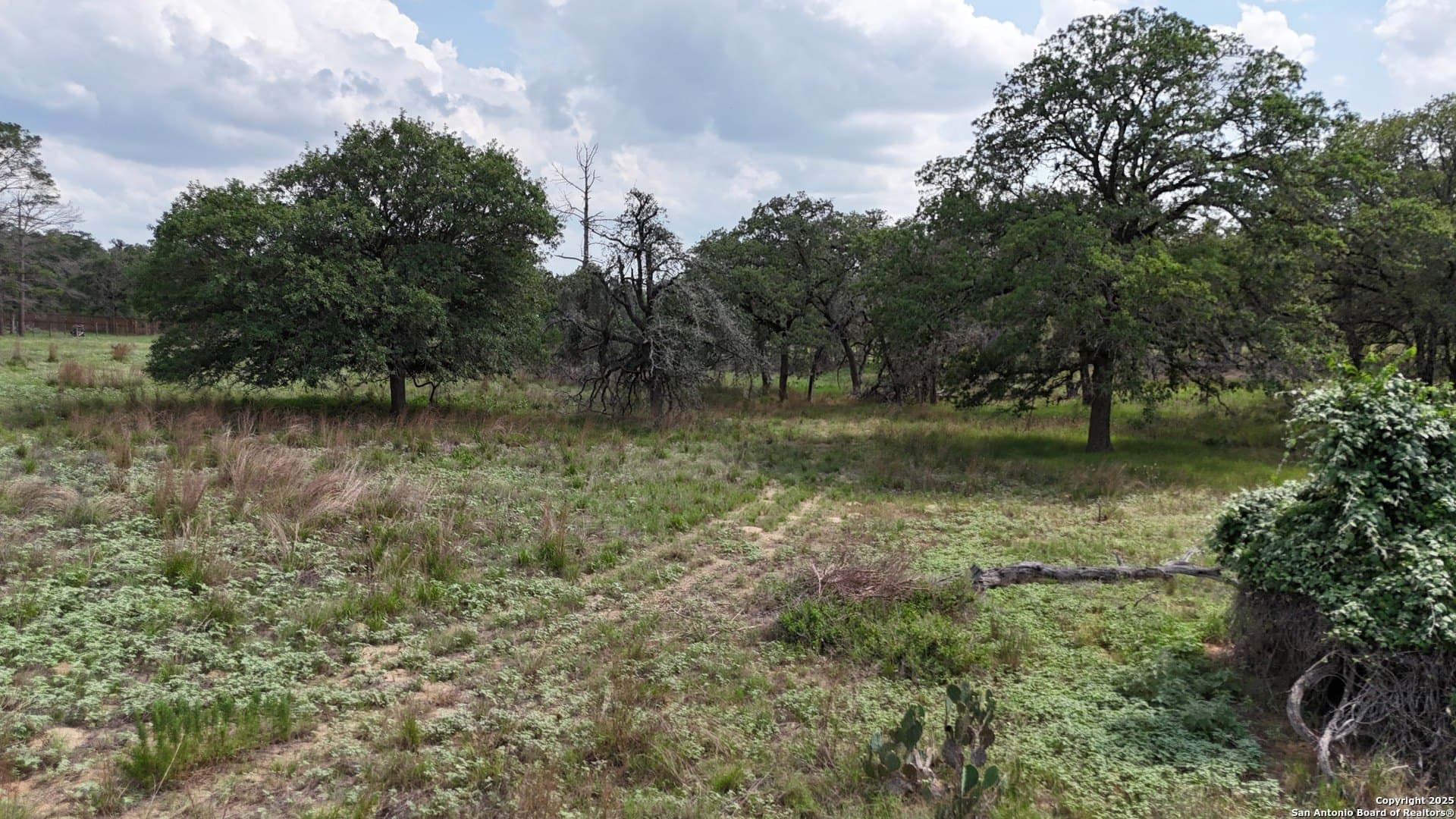 2.97 acres in Wilson County gallery image 4