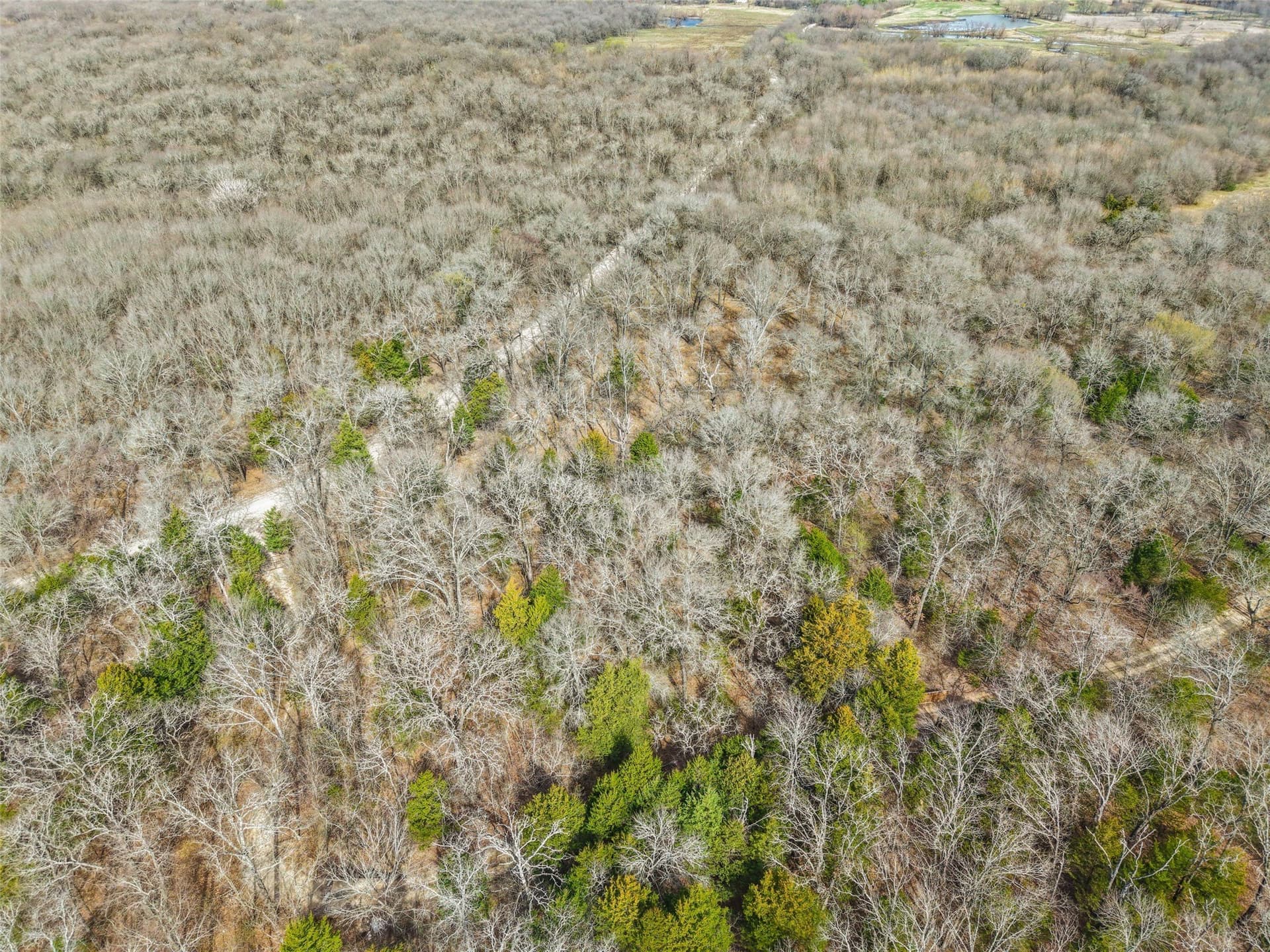 2.34 acres in Hunt County - photo 9