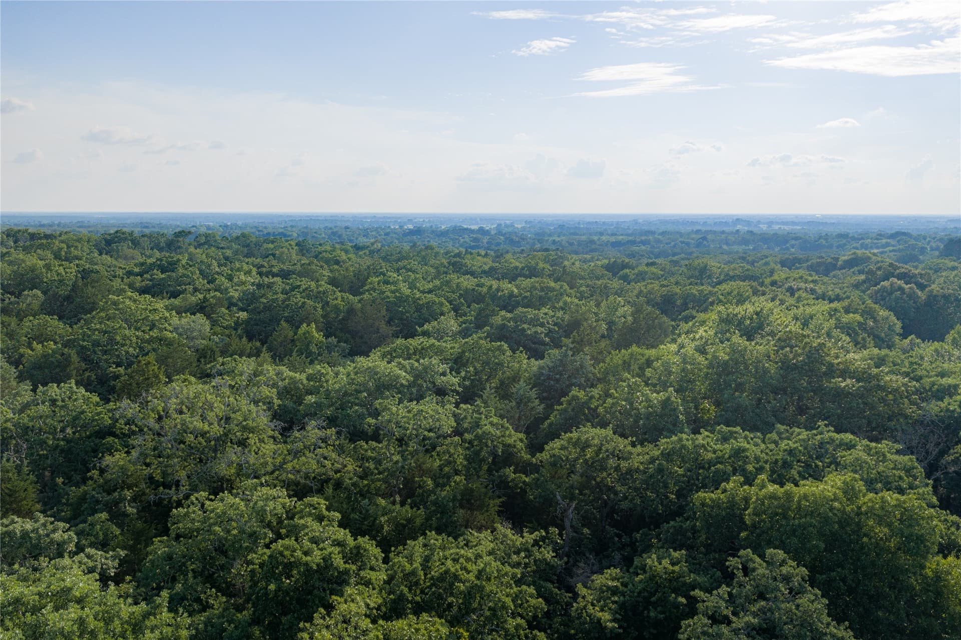 141.87 acres in Van Zandt County - photo 28