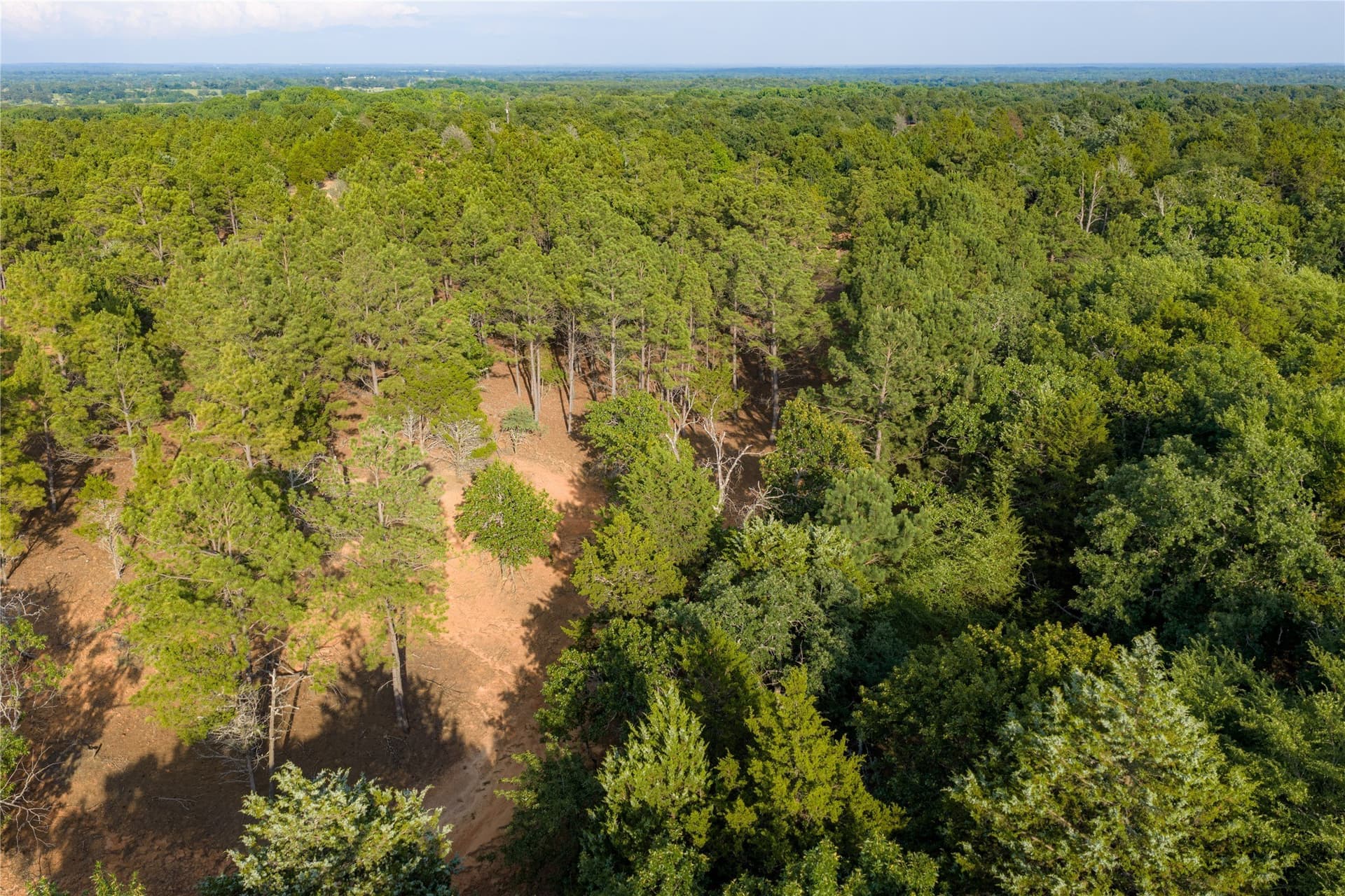 141.87 acres in Van Zandt County - photo 32