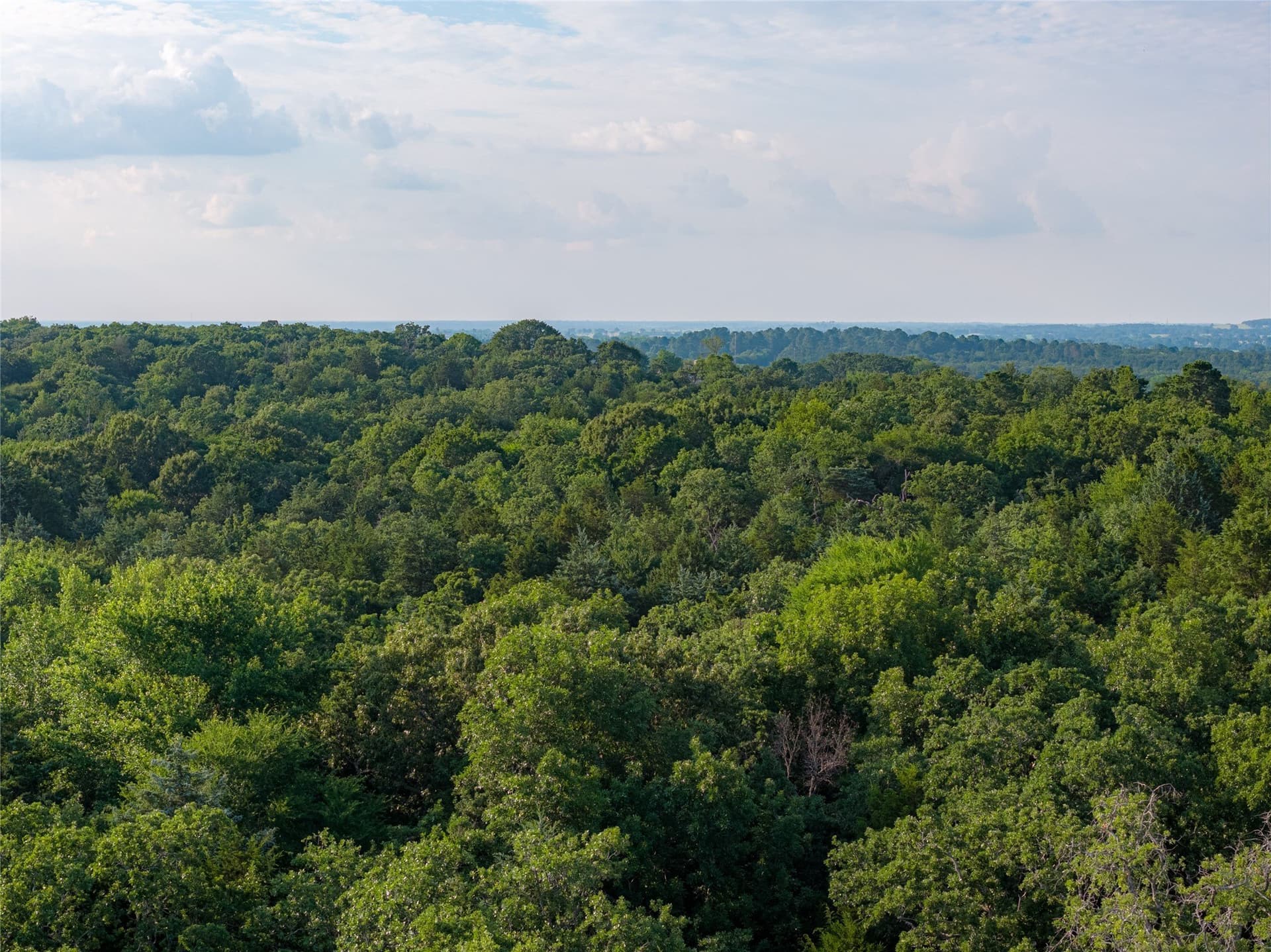 141.87 acres in Van Zandt County - photo 19