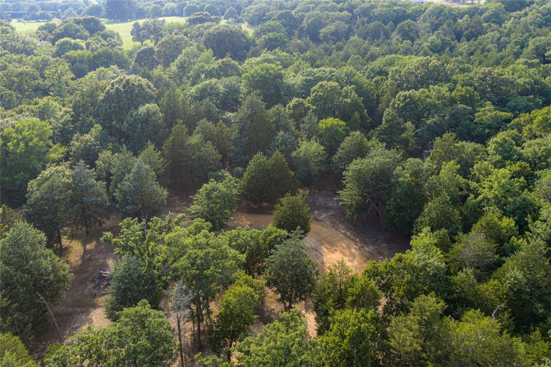 141.87 acres in Van Zandt County - photo 38