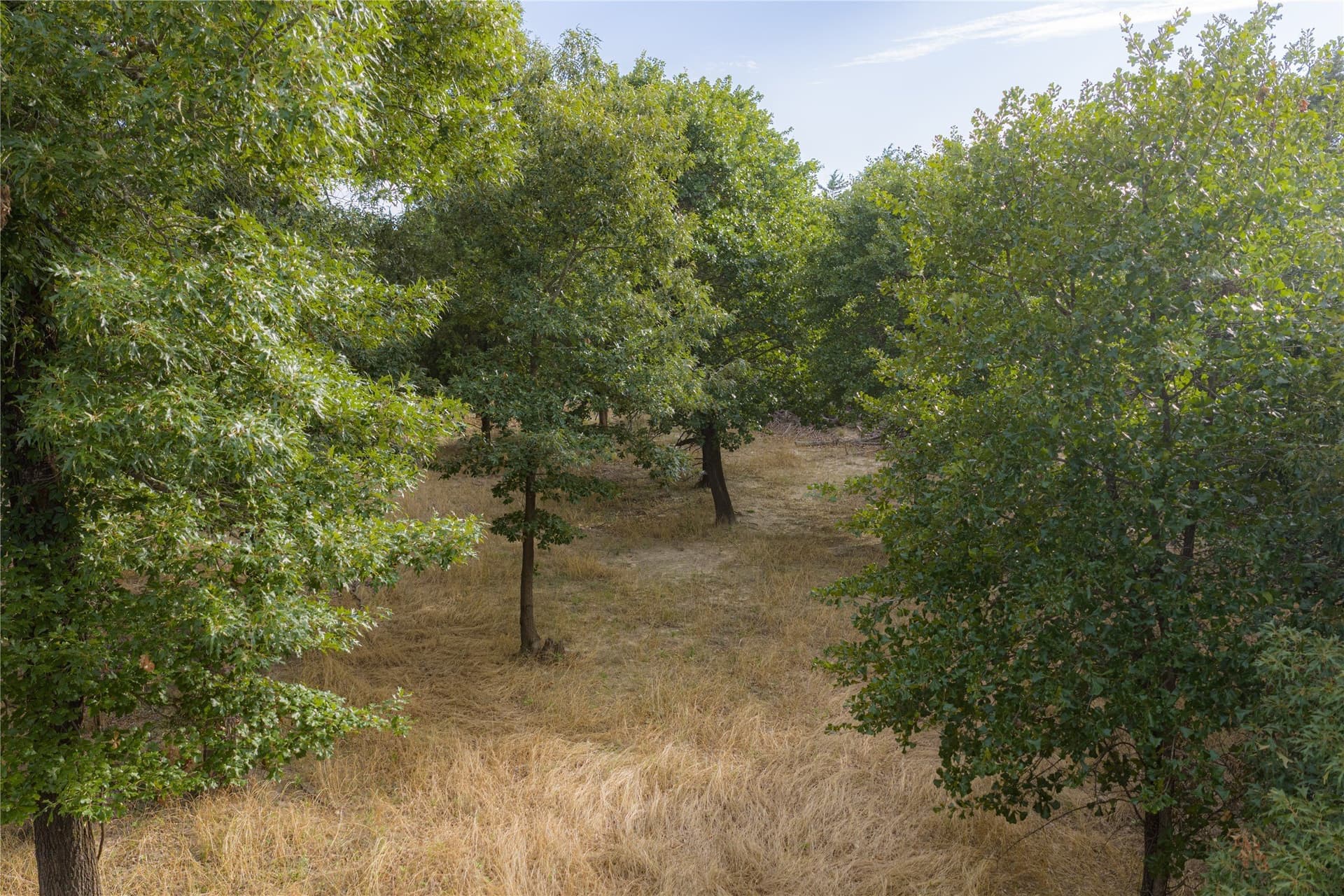 141.87 acres in Van Zandt County - photo 3