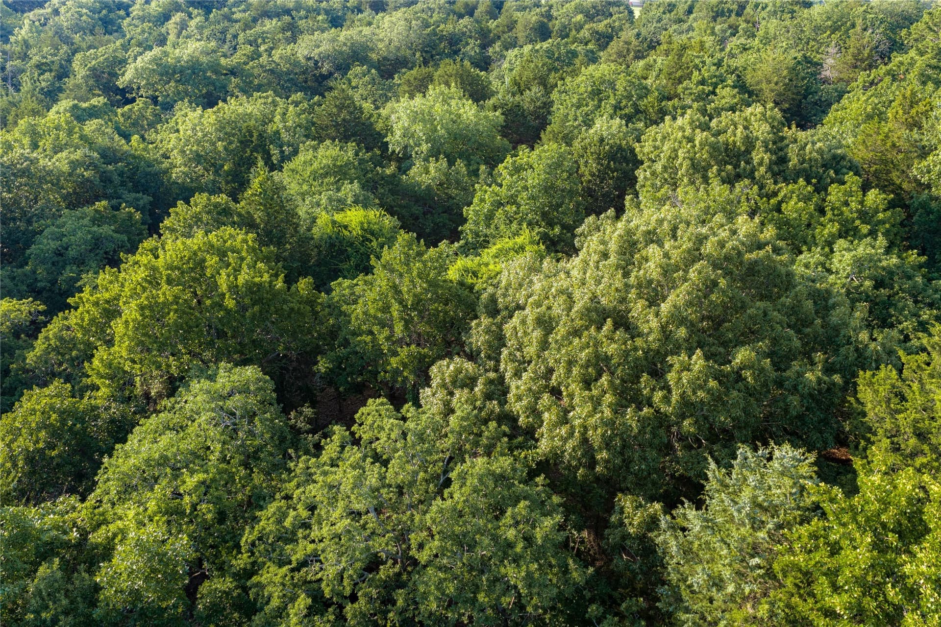 141.87 acres in Van Zandt County - photo 40