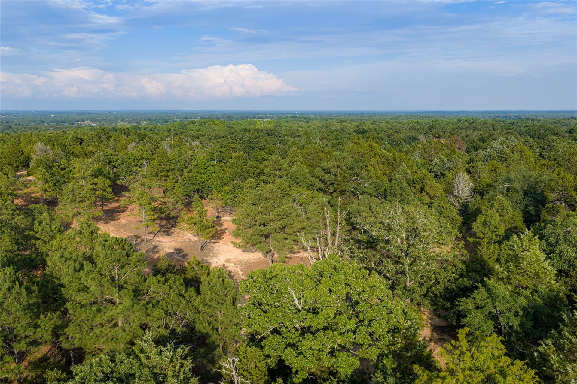 141.87 acres in Van Zandt County - photo 31