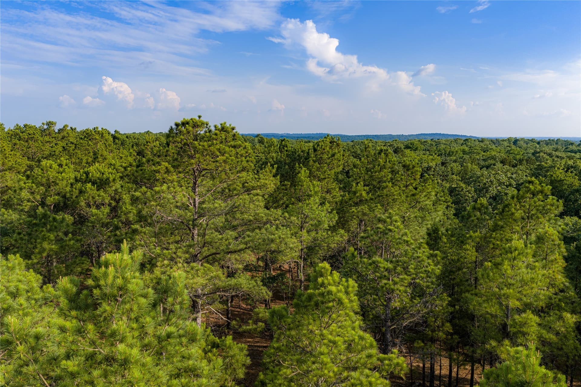 141.87 acres in Van Zandt County - photo 8