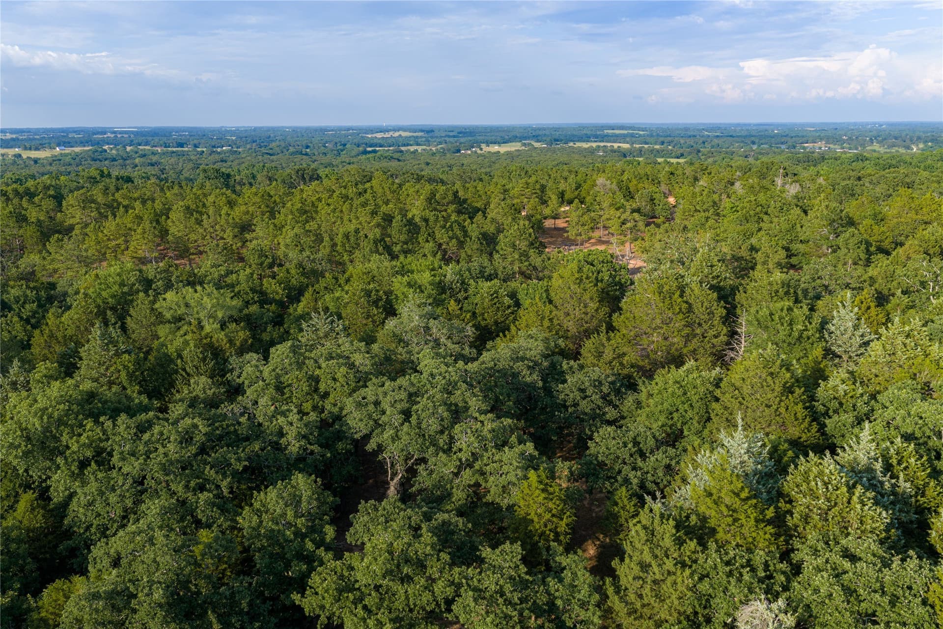 141.87 acres in Van Zandt County - photo 25