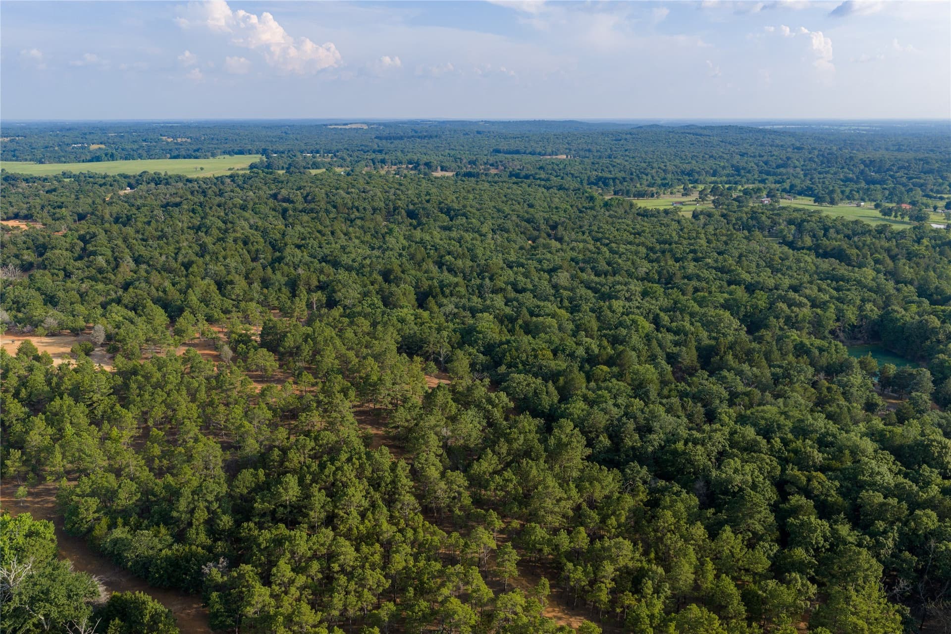 141.87 acres in Van Zandt County - photo 20