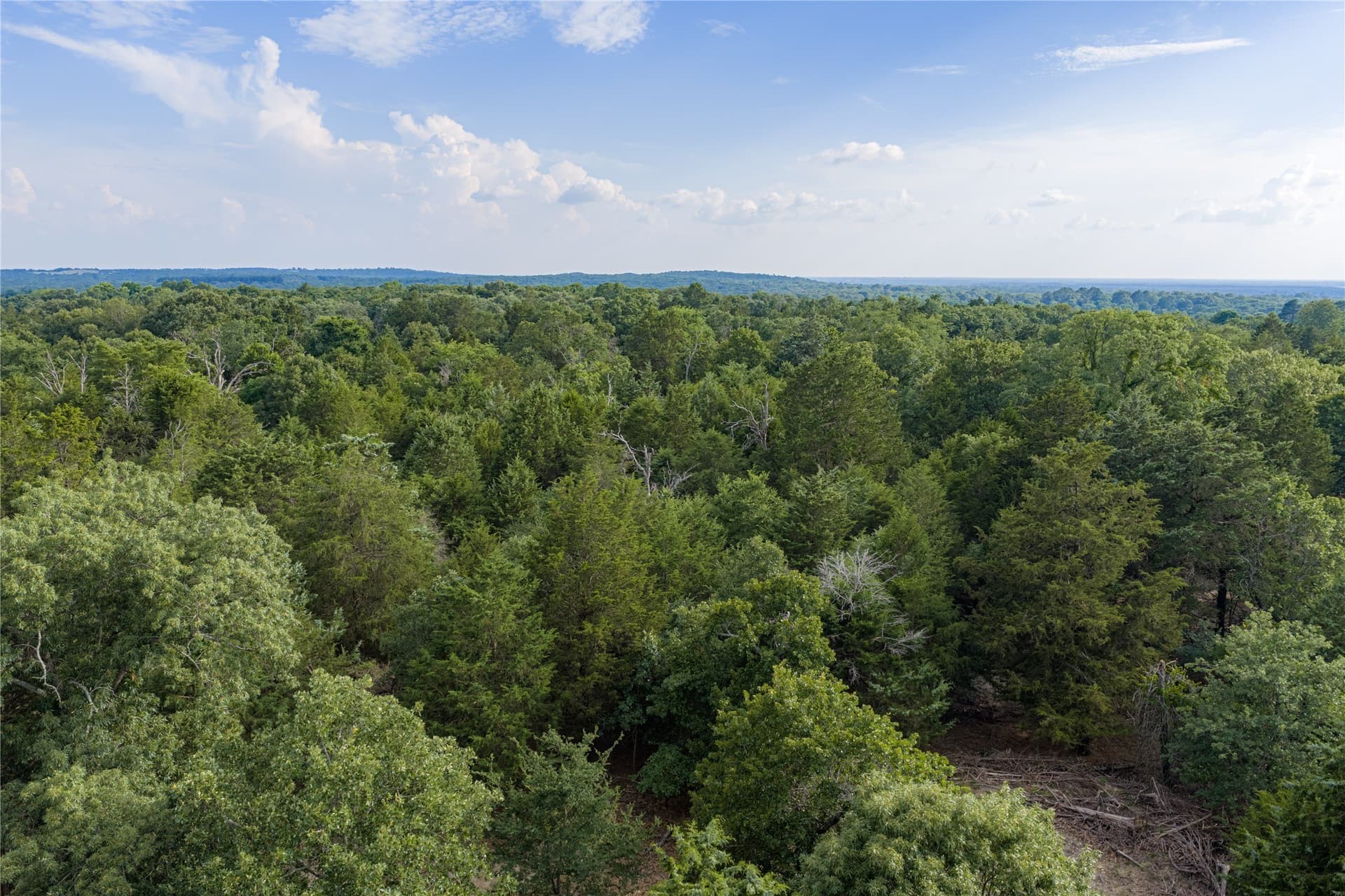 141.87 acres in Van Zandt County - photo 22