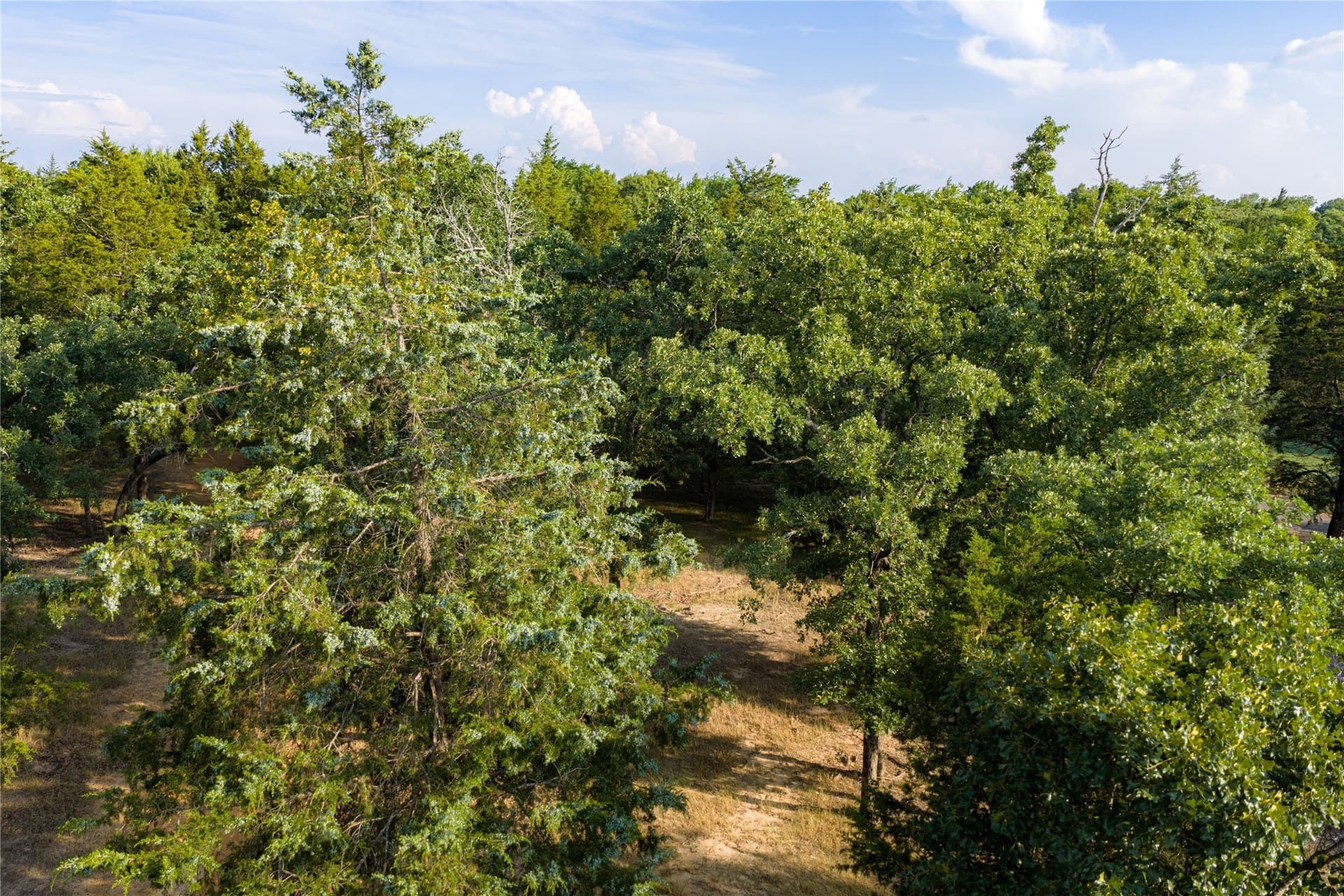 141.87 acres in Van Zandt County - photo 24