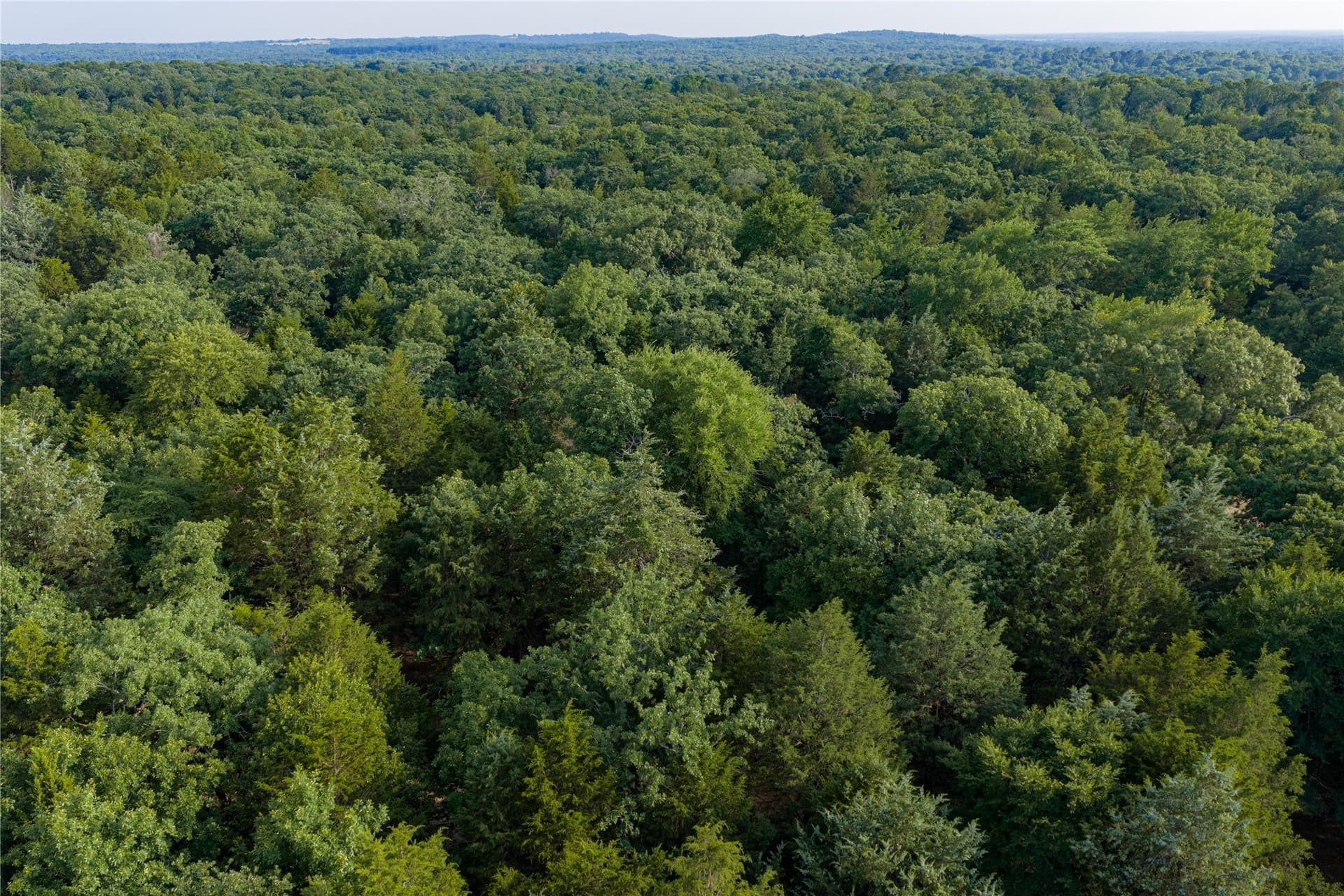 141.87 acres in Van Zandt County - photo 36