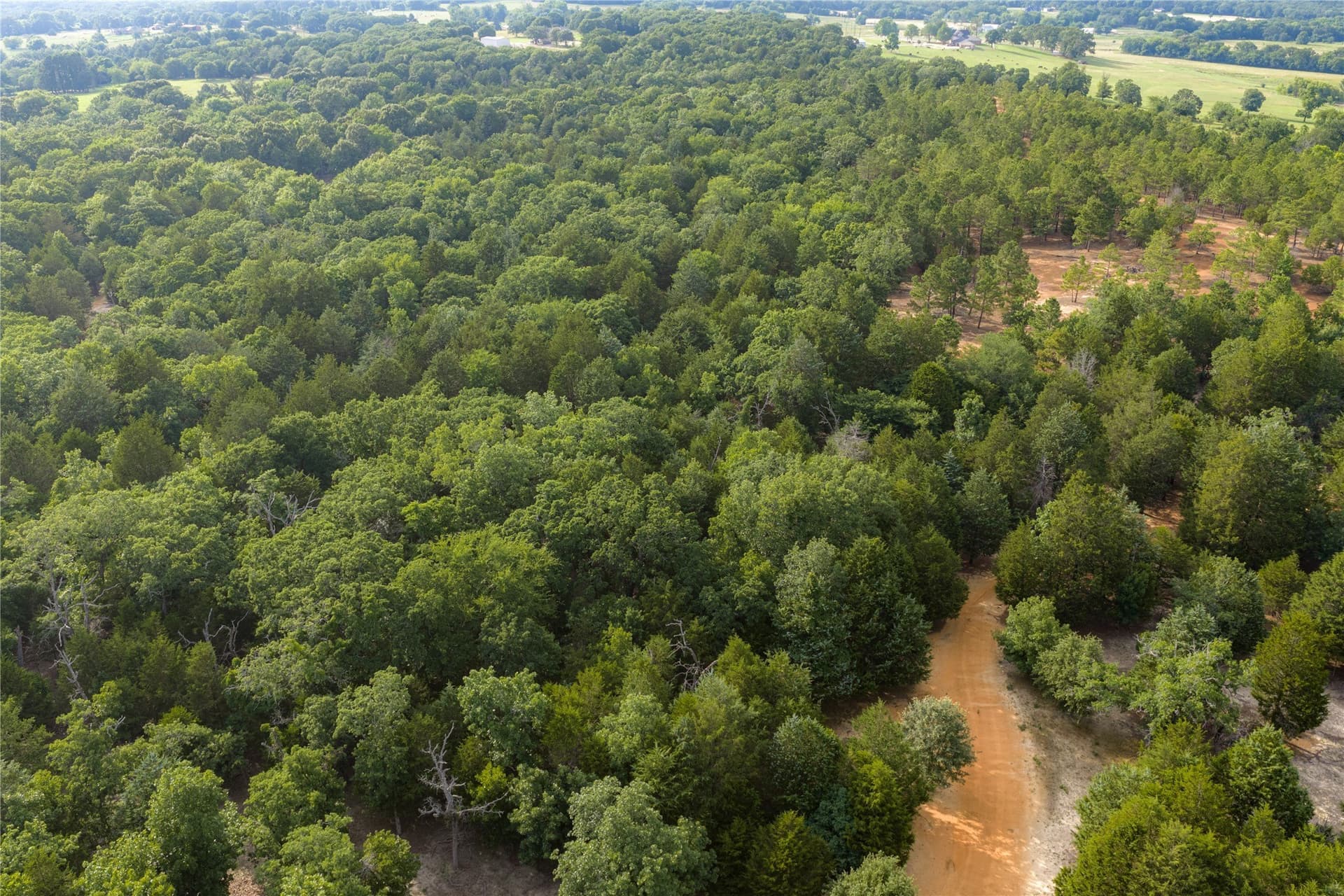 141.87 acres in Van Zandt County - photo 23