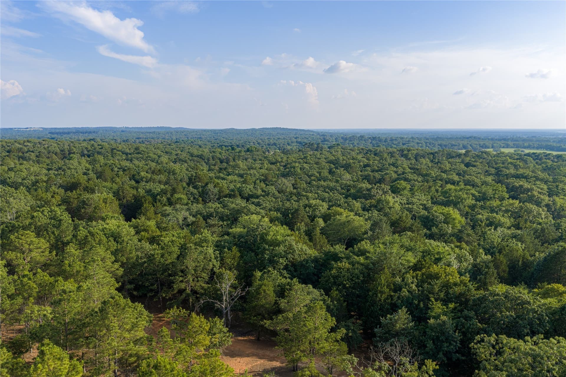 141.87 acres in Van Zandt County - photo 21