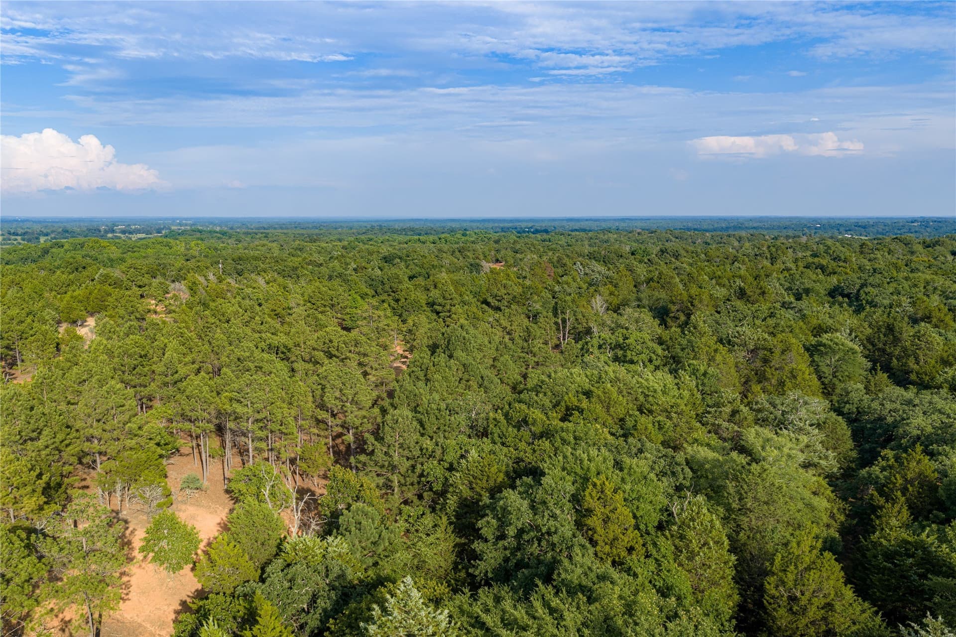 141.87 acres in Van Zandt County - photo 18