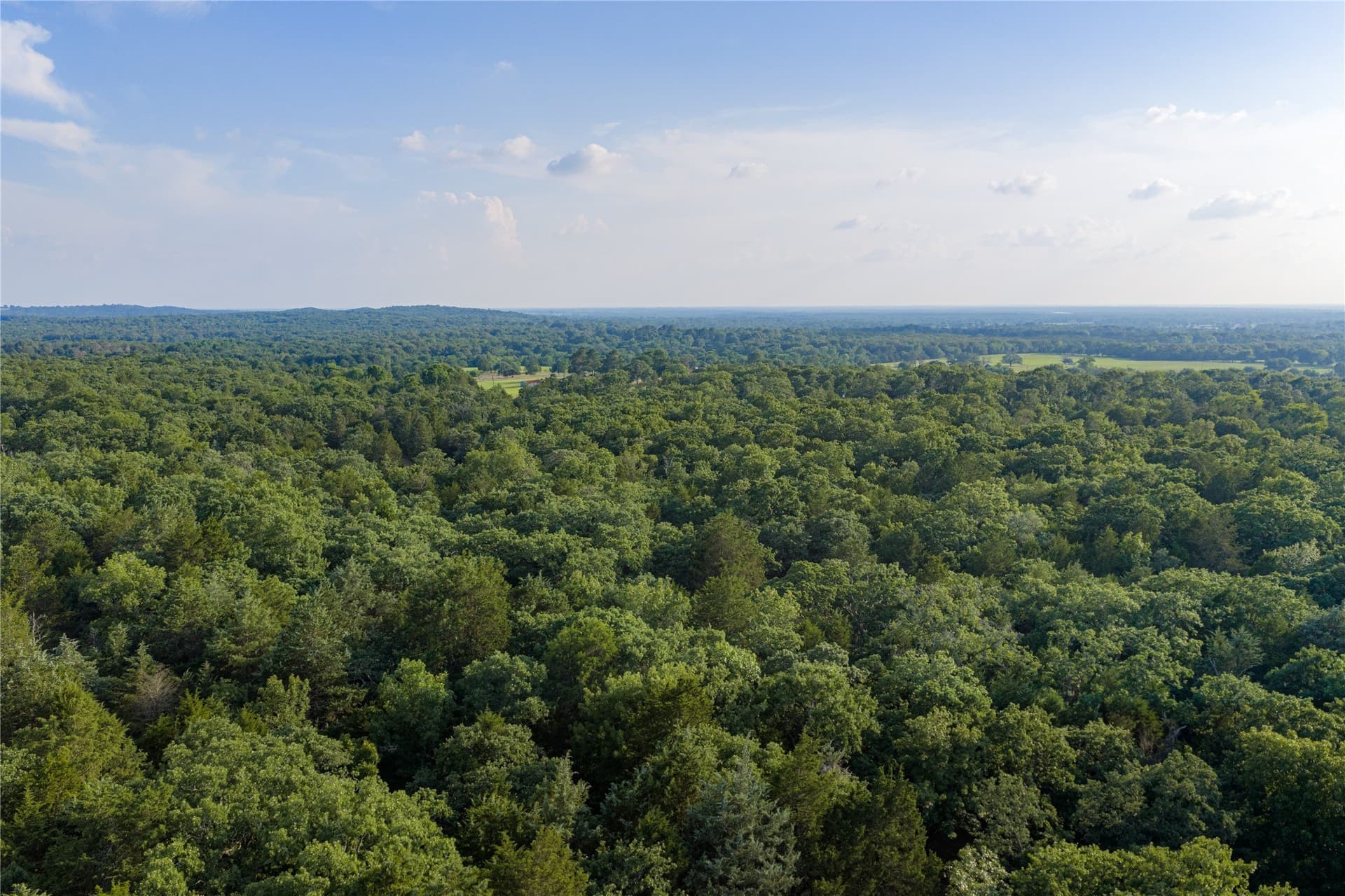 141.87 acres in Van Zandt County - photo 26
