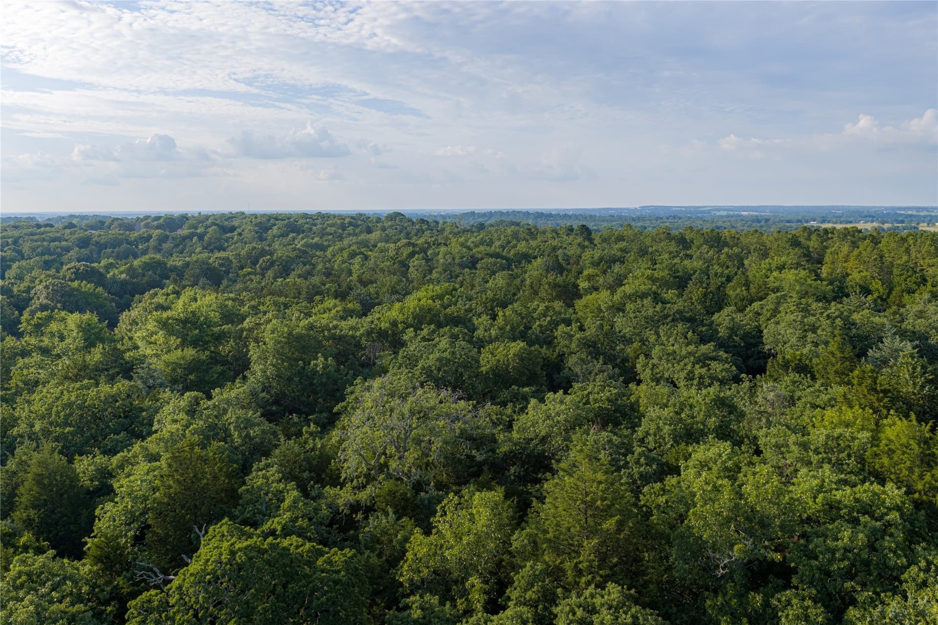 141.87 acres in Van Zandt County - photo 17
