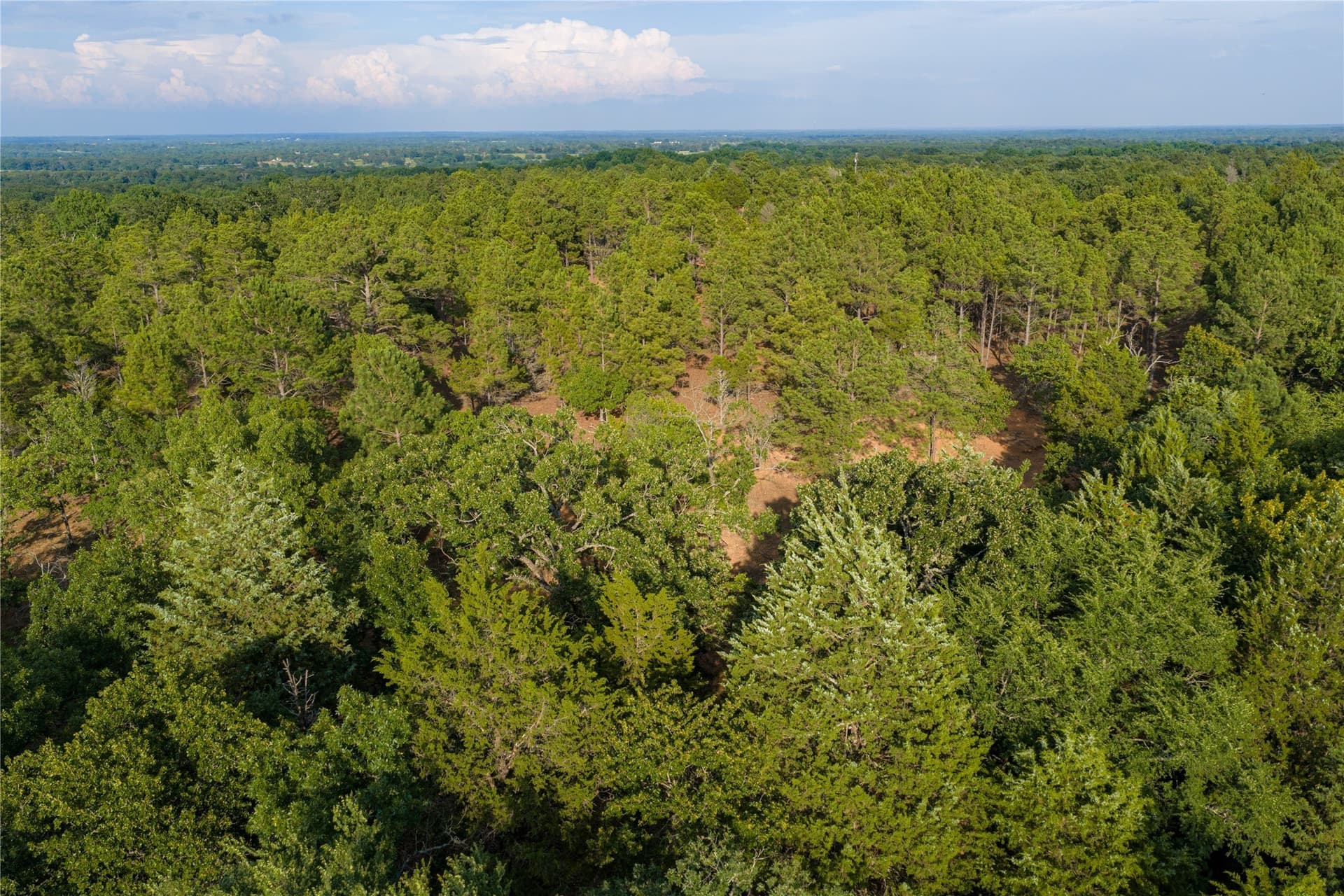 141.87 acres in Van Zandt County - photo 37
