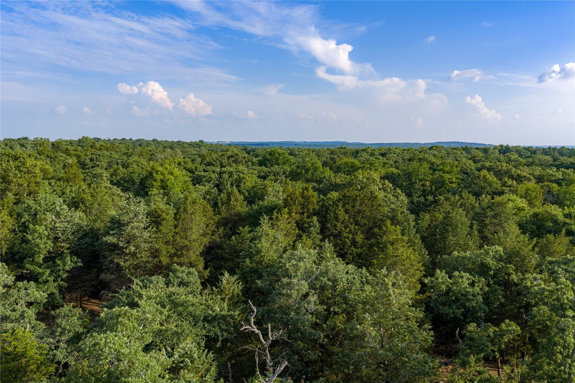 141.87 acres in Van Zandt County - photo 33