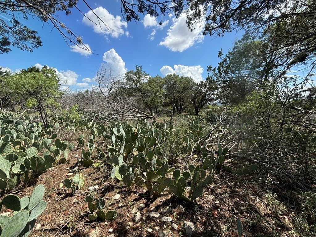 3.3 acres in Real County - photo 13