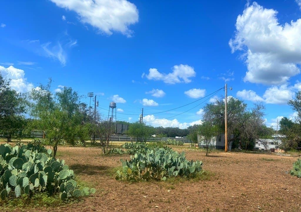 3.3 acres in Real County - photo 11