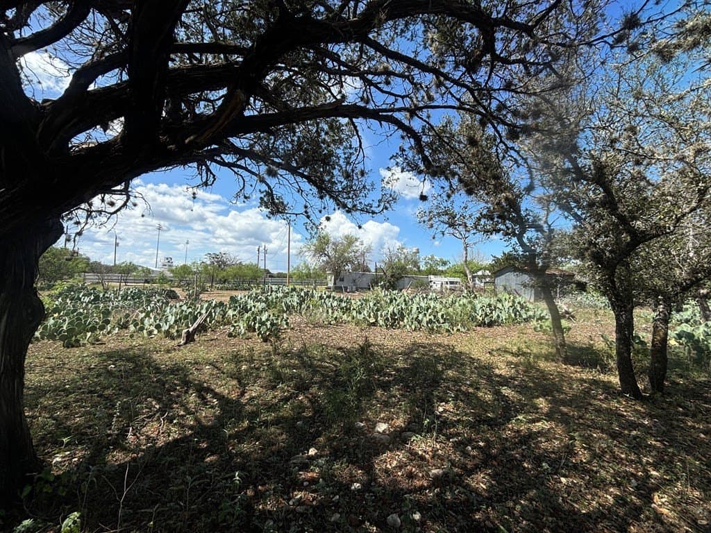 3.3 acres in Real County - photo 19