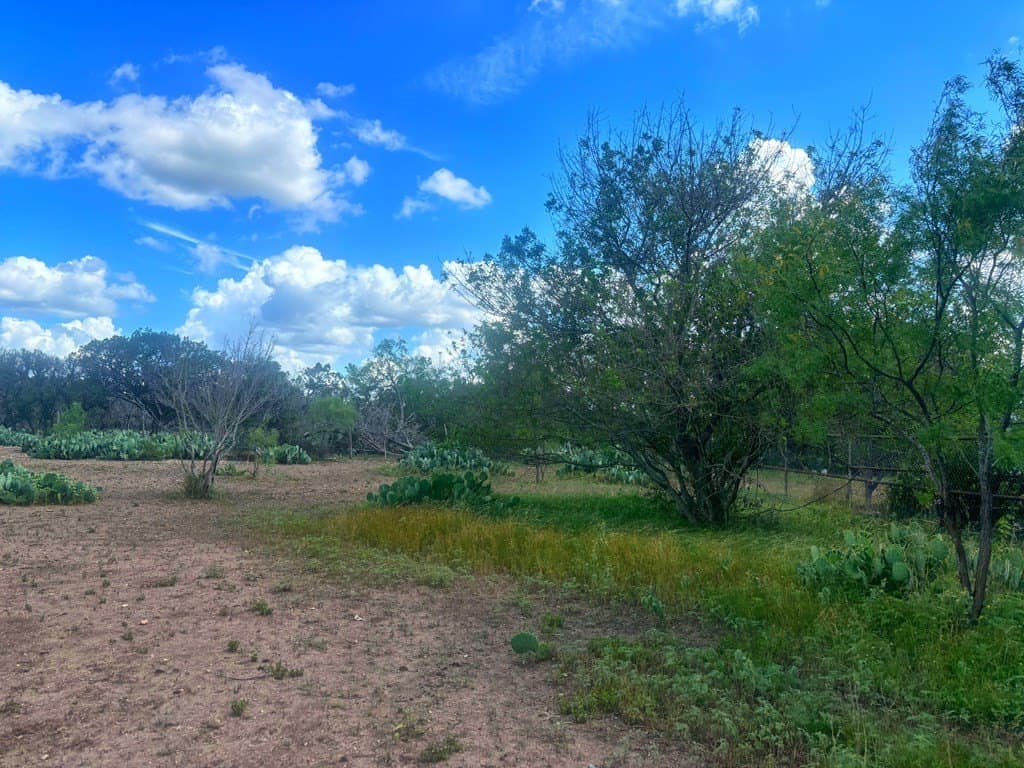 3.3 acres in Real County - photo 10