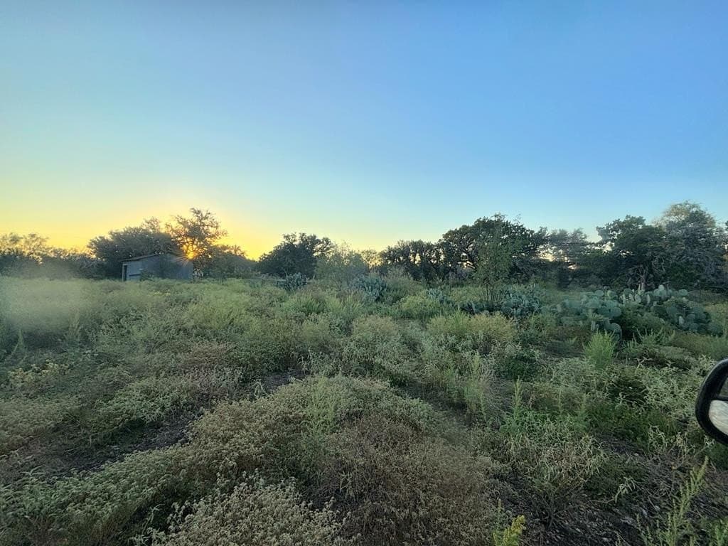 3.3 acres in Real County gallery image 4