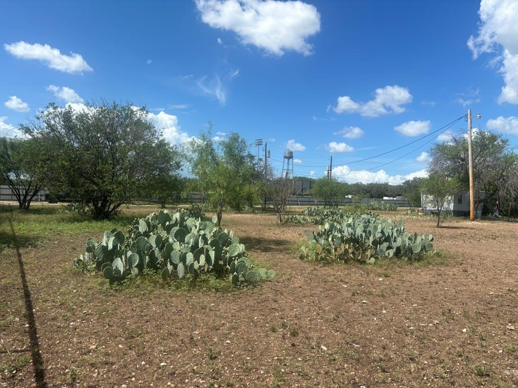 3.3 acres in Real County - photo 12