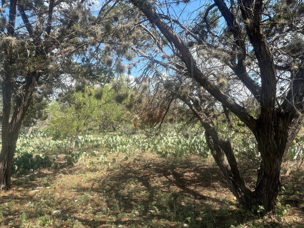 3.3 acres in Real County - photo 21