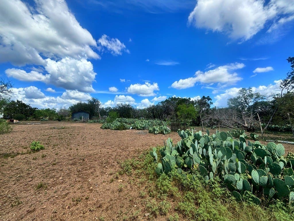 3.3 acres in Real County - photo 9