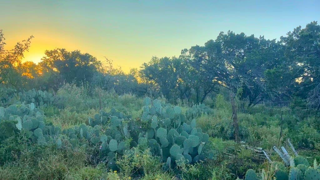 3.3 acres in Real County - photo 6