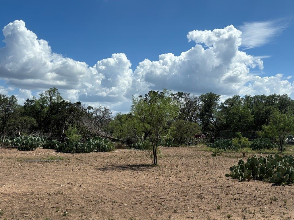 3.3 acres in Real County - photo 18