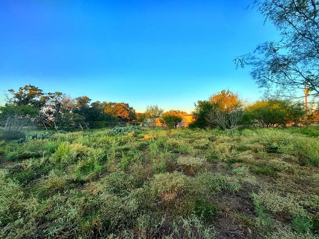 3.3 acres in Real County gallery image 2