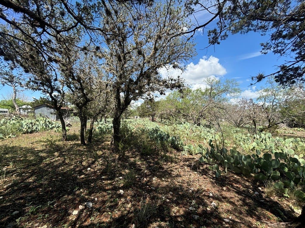 3.3 acres in Real County - photo 20