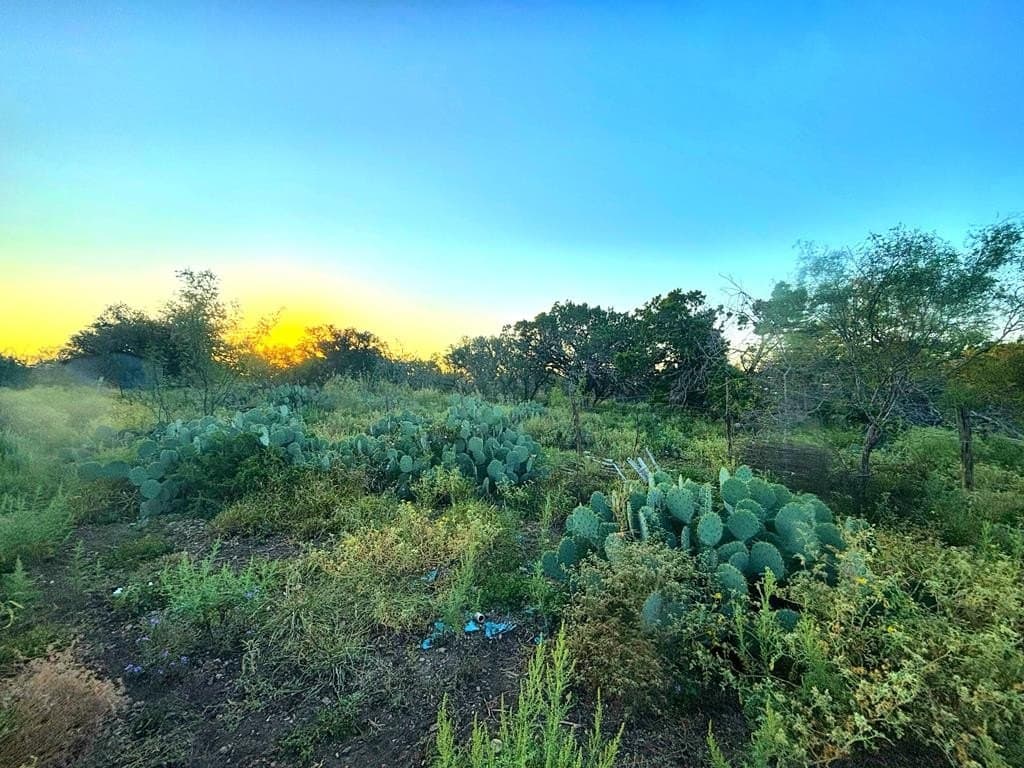 3.3 acres in Real County - photo 7