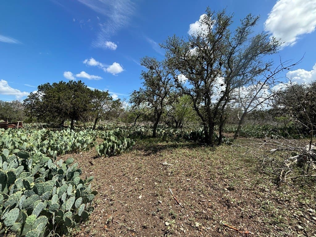 3.3 acres in Real County - photo 16