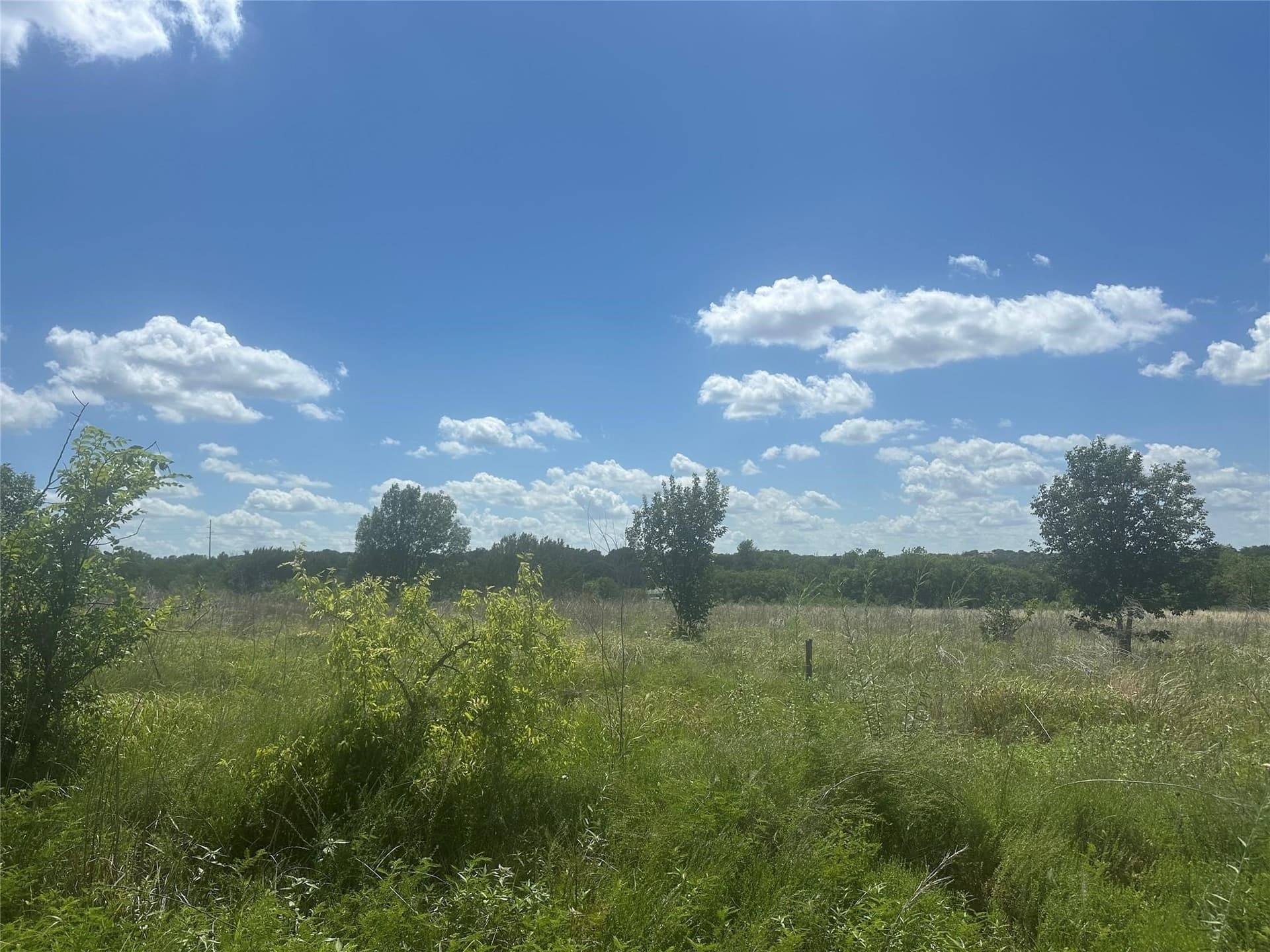 3.99 acres in Parker County gallery image 4